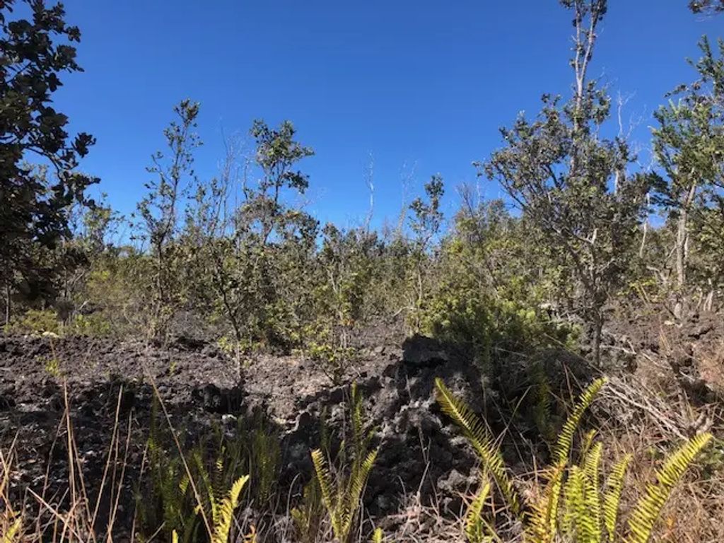 Ohia Dr, Ocean View