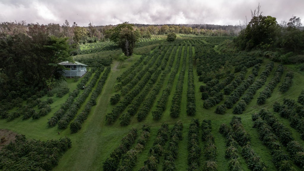 87-2854 Hawaii Belt Rd, Captain Cook