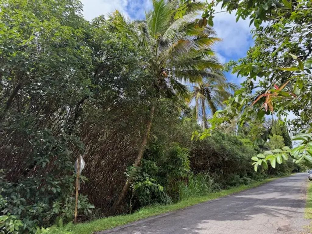 12-4293 Ocean View Pkwy, Pahoa