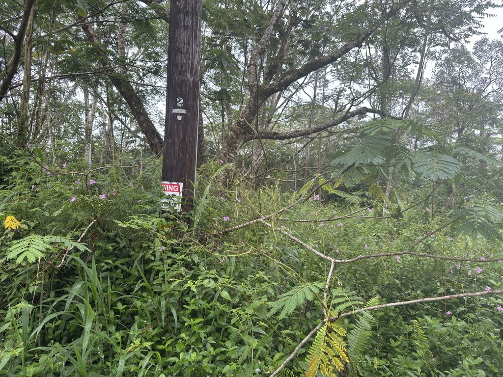 Pahoa Circle, Pahoa