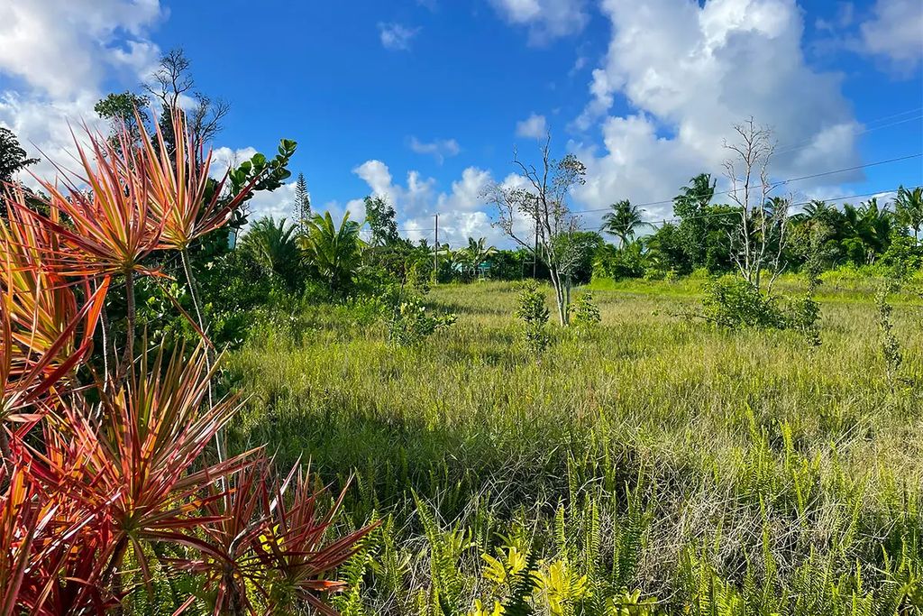 Kapohanalu St, Pahoa
