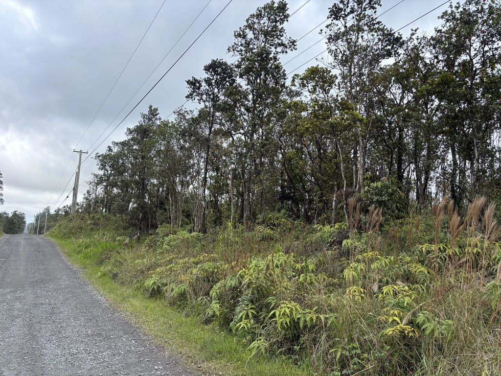 11-2575 Ohialani Rd, Volcano