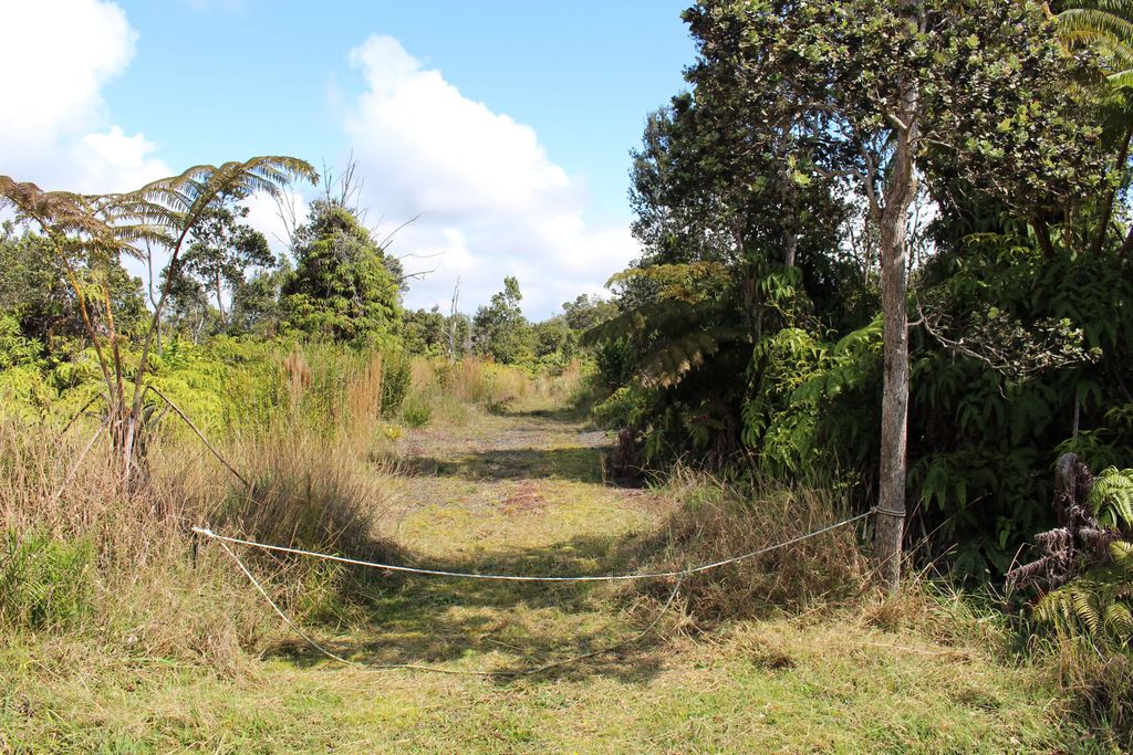 Nahelenani St, Volcano