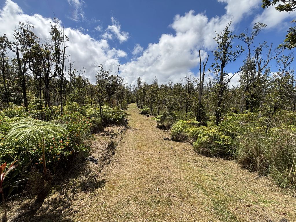 11-2566 Ohialani Rd, Volcano