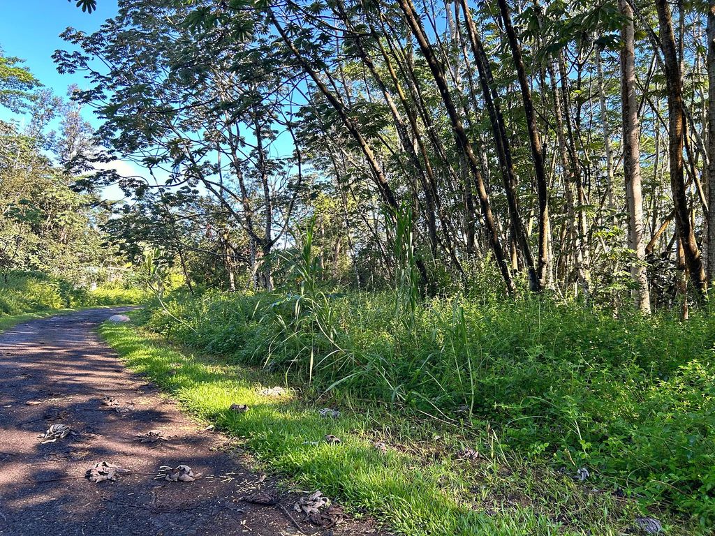 Lehua Rd, Pahoa