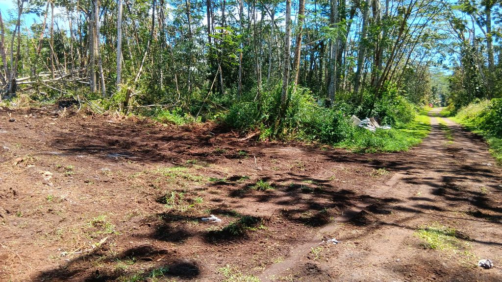 Plumeria Rd, Pahoa