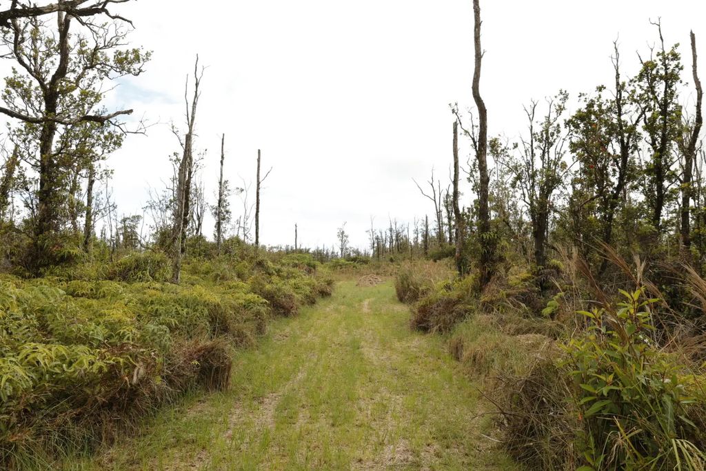 11-2267 Ohialani Rd, Volcano
