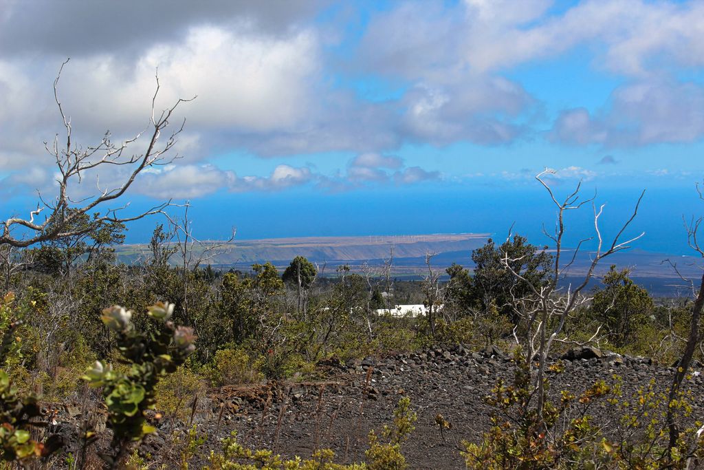 Koa Ln, Ocean View