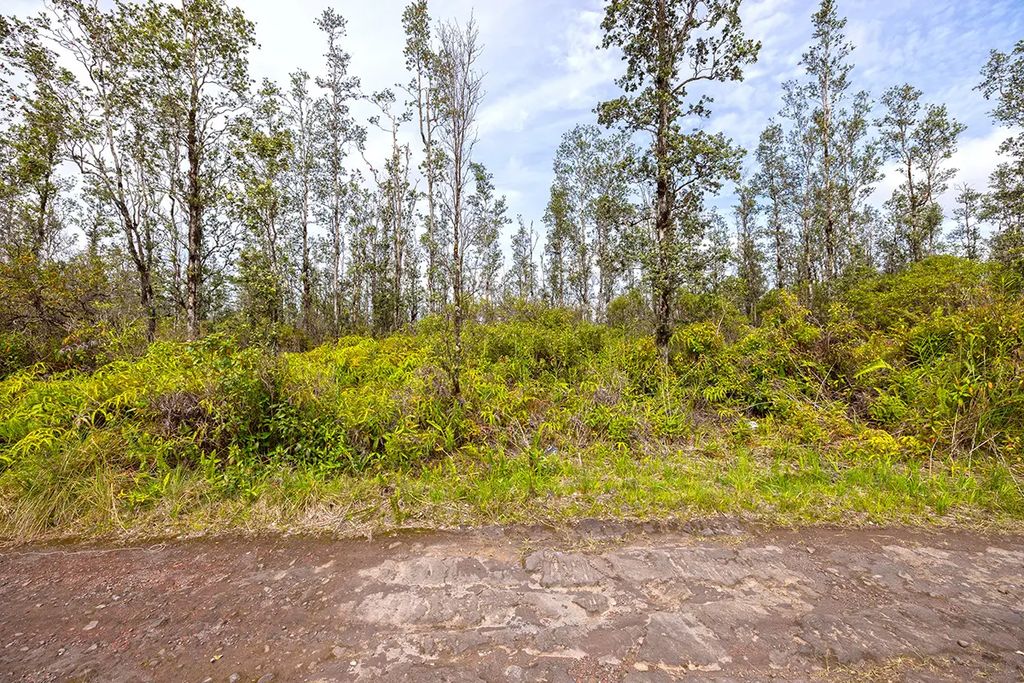 16-2191 Road 4 (io Kea), Mountain View