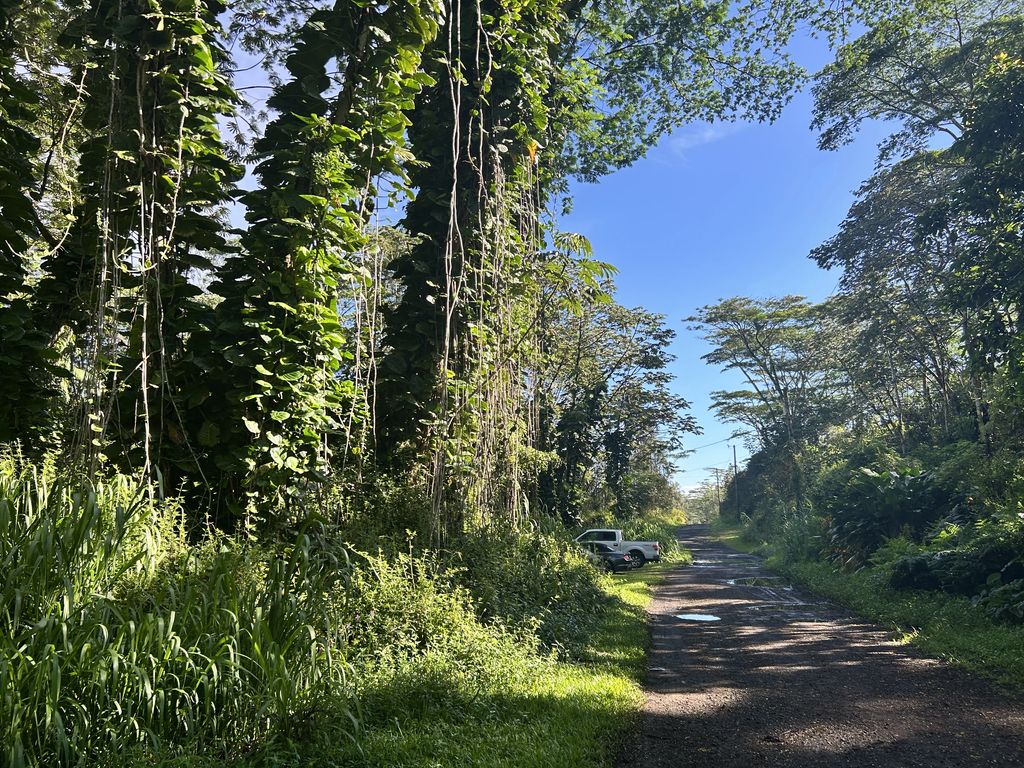 14-3491 Plumeria Rd, Pahoa