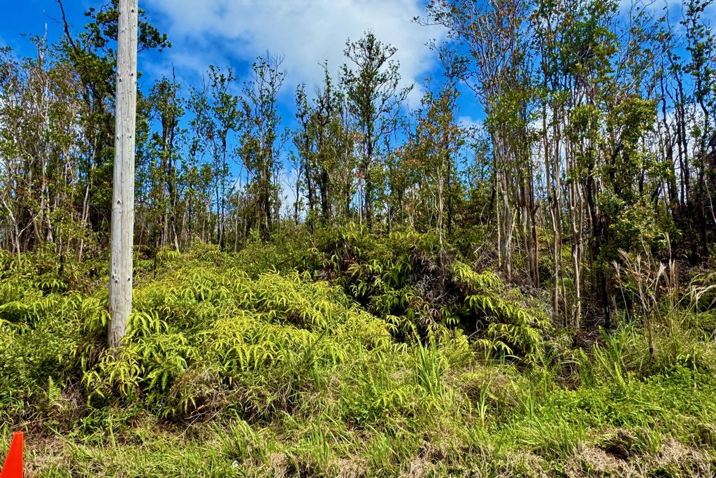 11-2466 Makoa Rd, Volcano