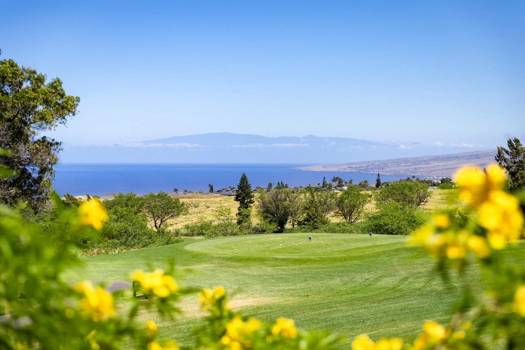 68-1767 Melia St D106dl2, Waikoloa