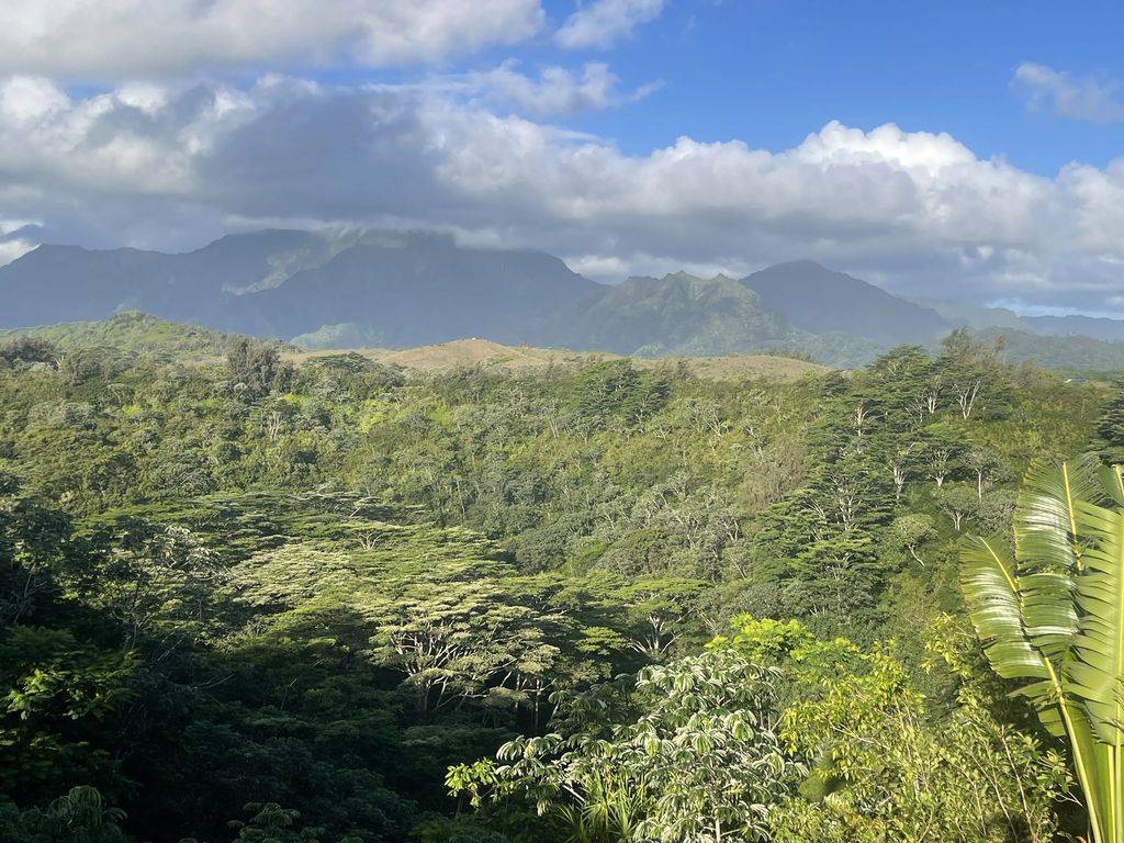 5250-d Kahiliholo Rd, Kilauea