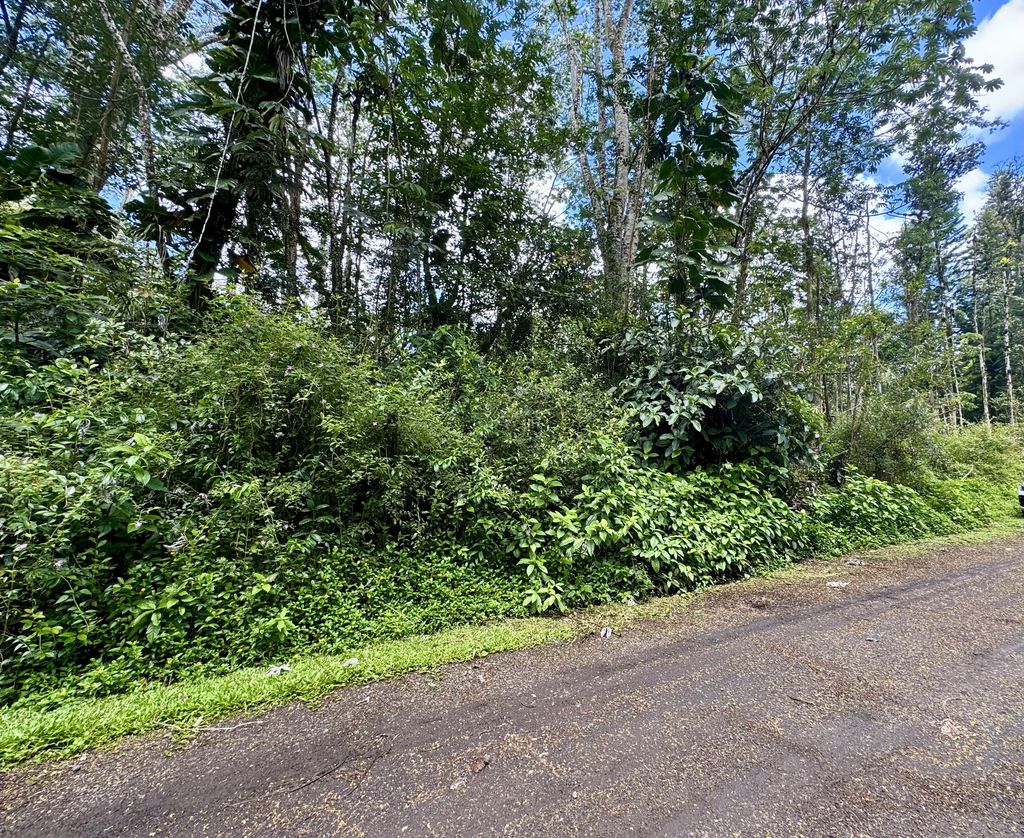 Plumeria Rd, Pahoa