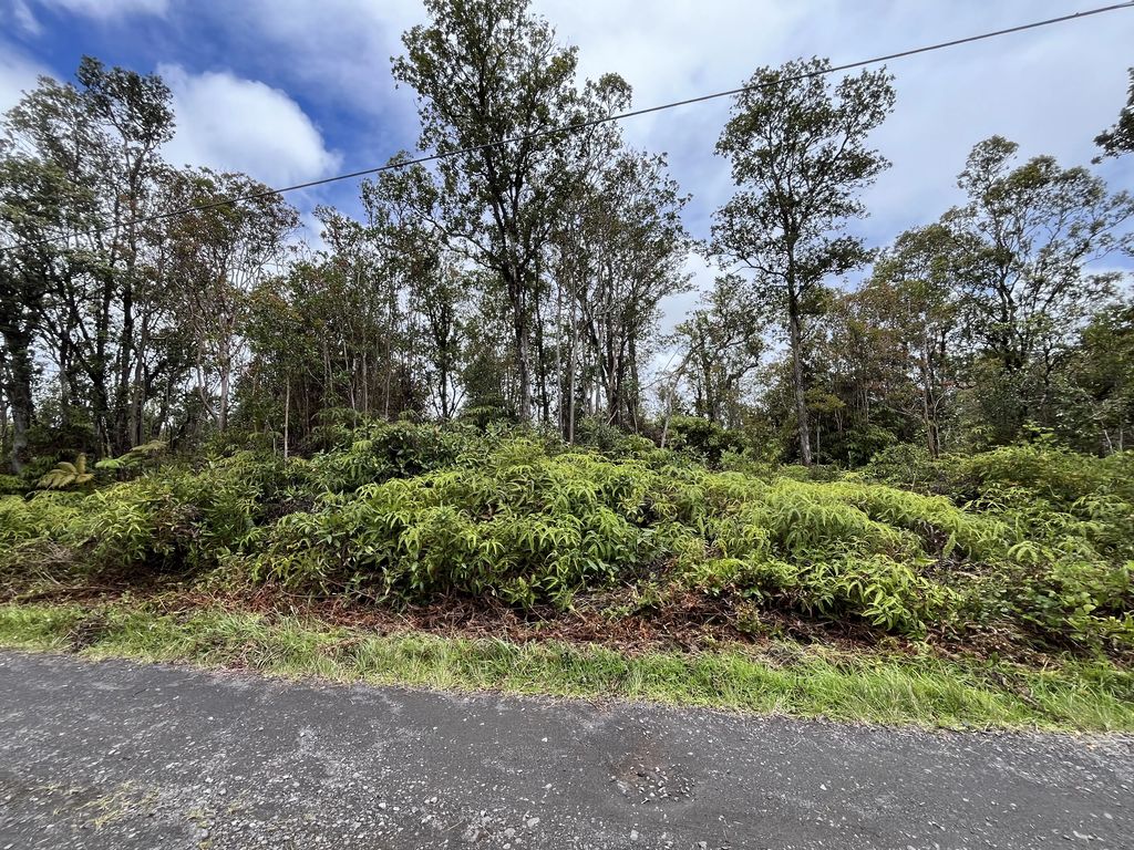 Ala Naulani Rd, Volcano
