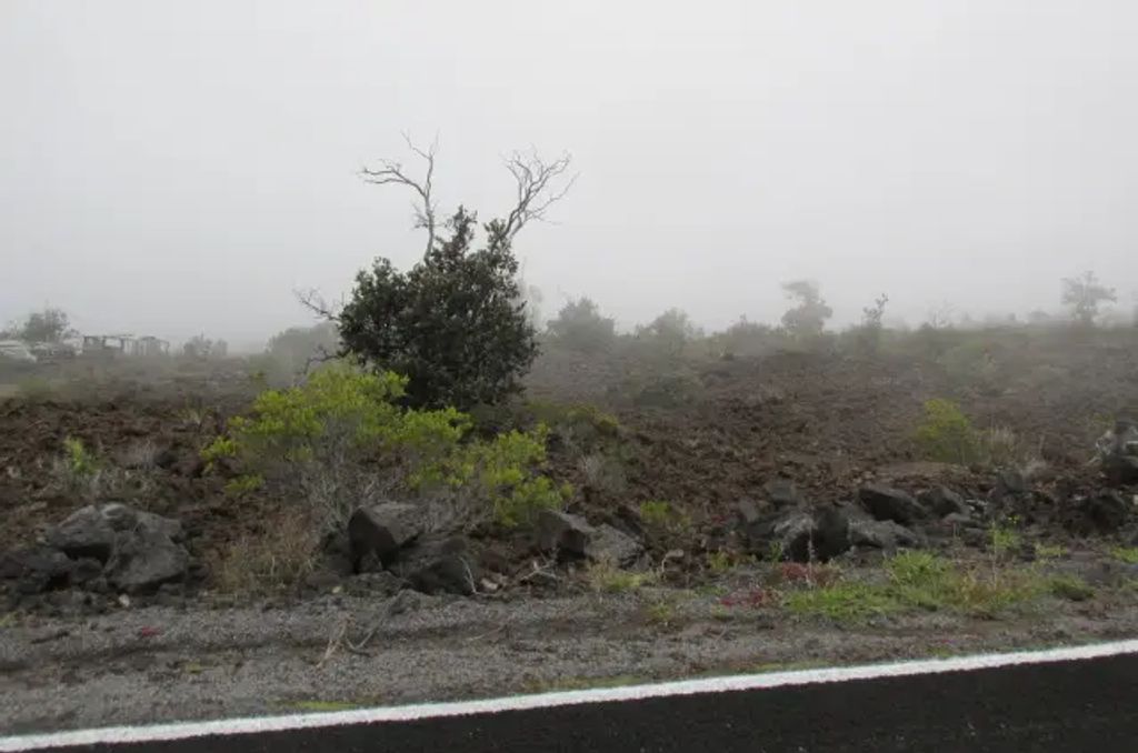 Lurline Ln, Ocean View