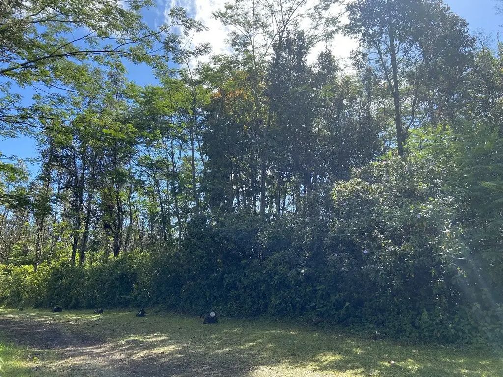 Tutu Rd, Pahoa