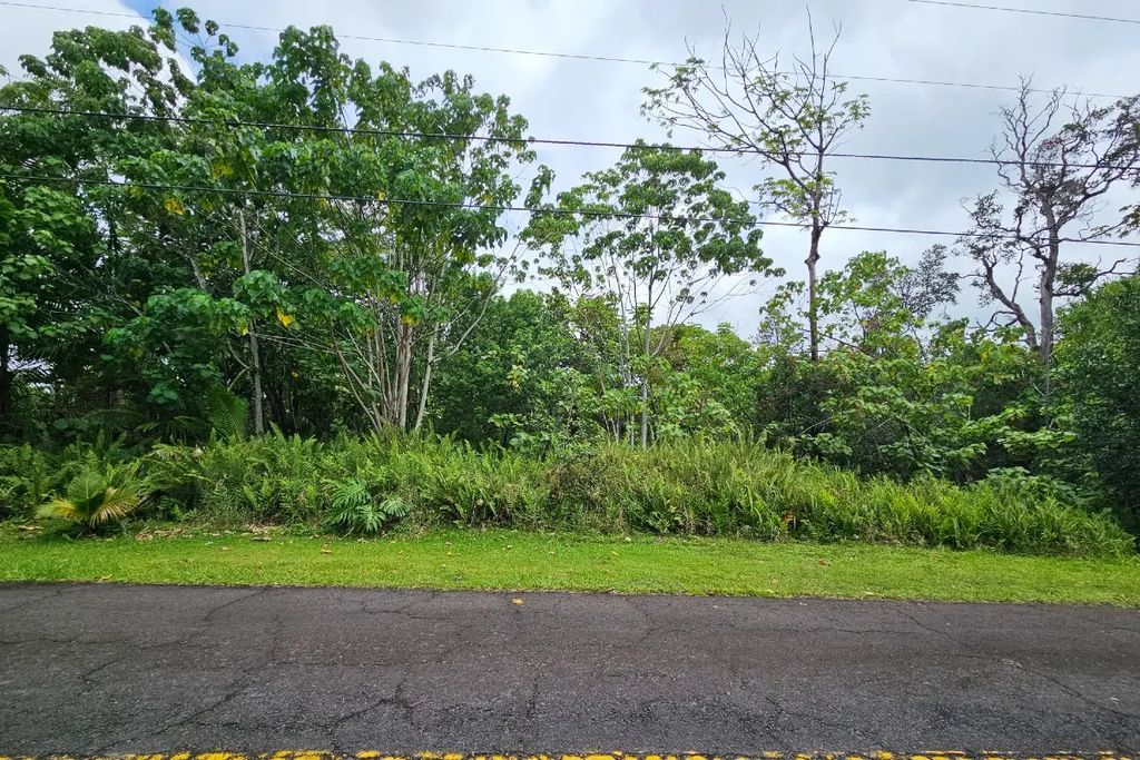 12-316 Pohakupele Loop, Pahoa