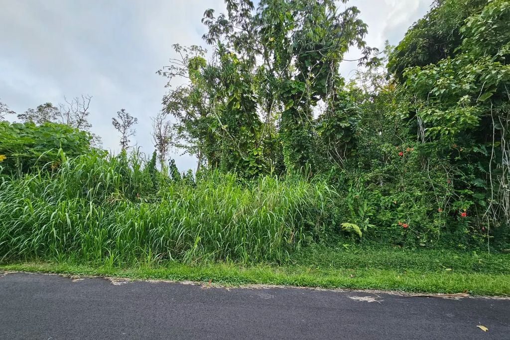 Ono St Lot 20, Pahoa