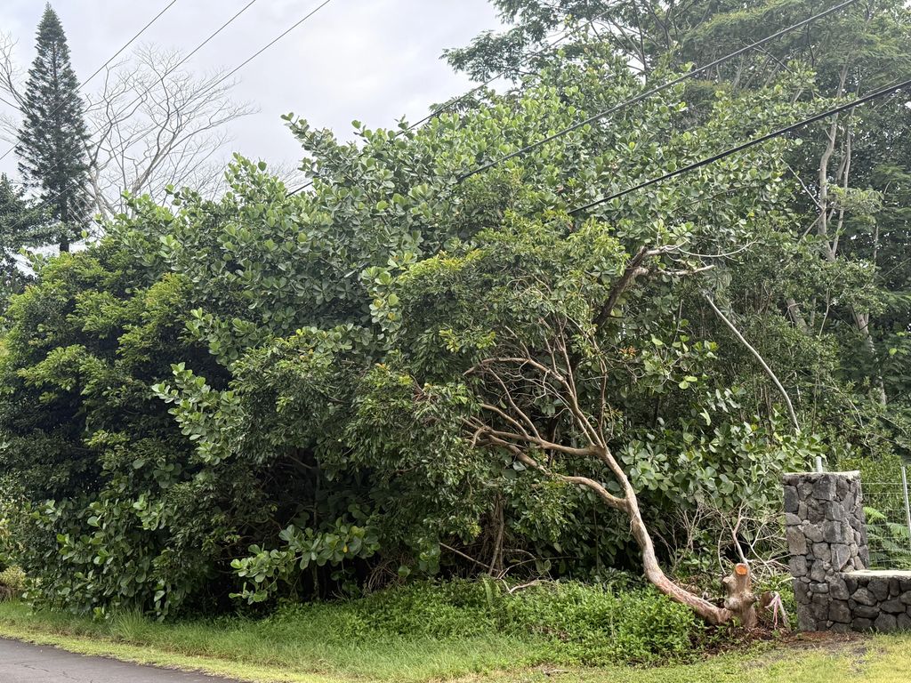 15-1611 Beach Rd, Keaau