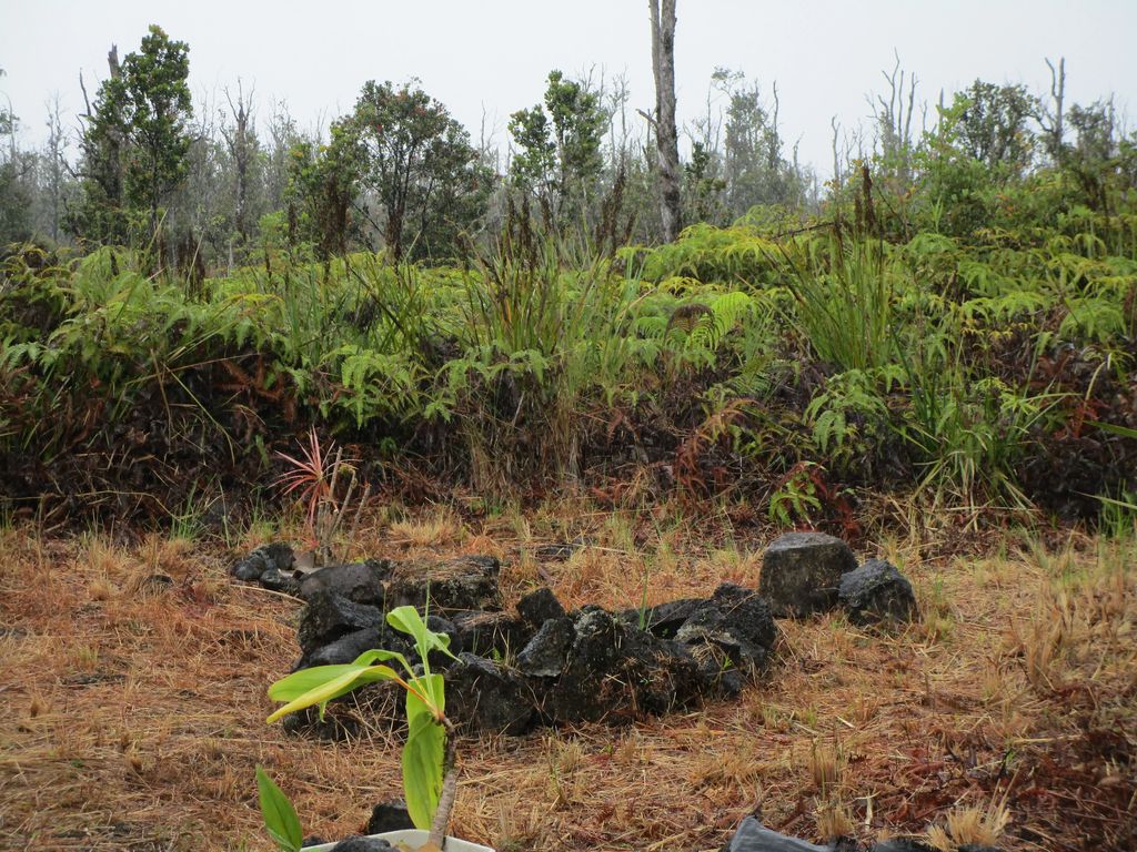 Omeka Rd, Volcano