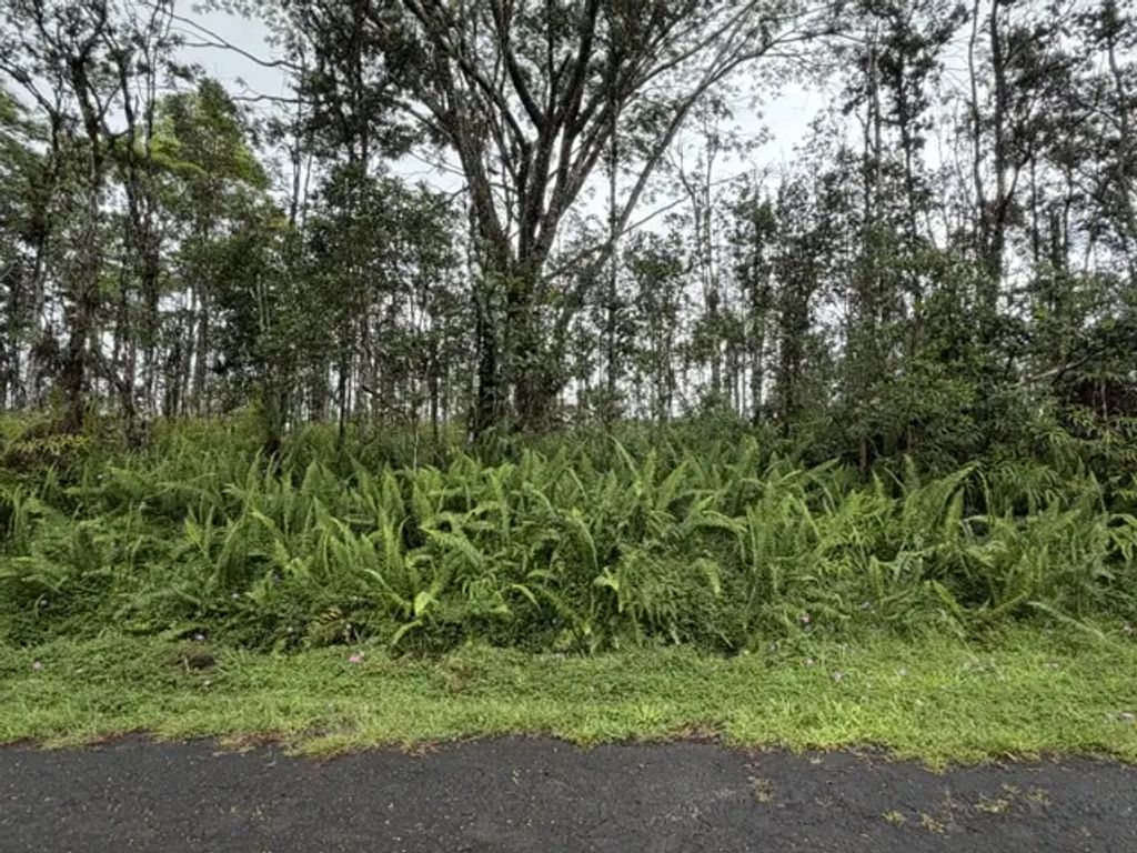 Puna Rd, Pahoa
