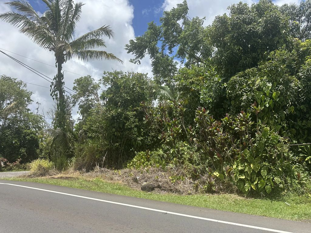 16-462 Ainaloa Blvd, Keaau