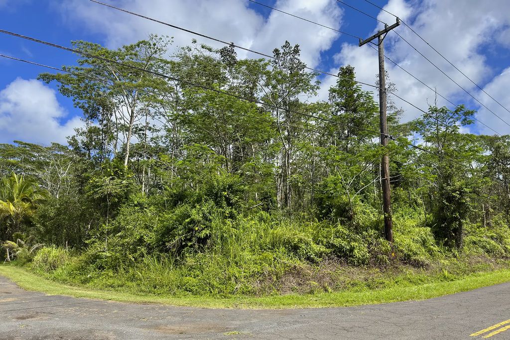 Hilo Rd, Pahoa