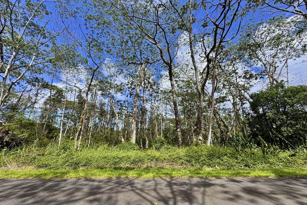 Kauai Rd, Pahoa