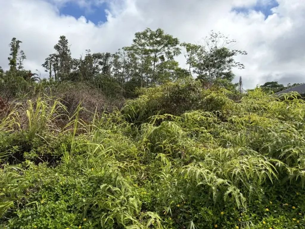 Hapuu Dr, Pahoa