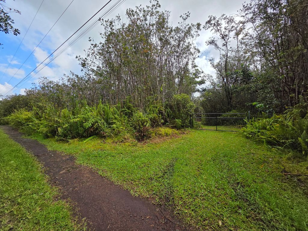 16-1437 Opeapea Rd, Kurtistown