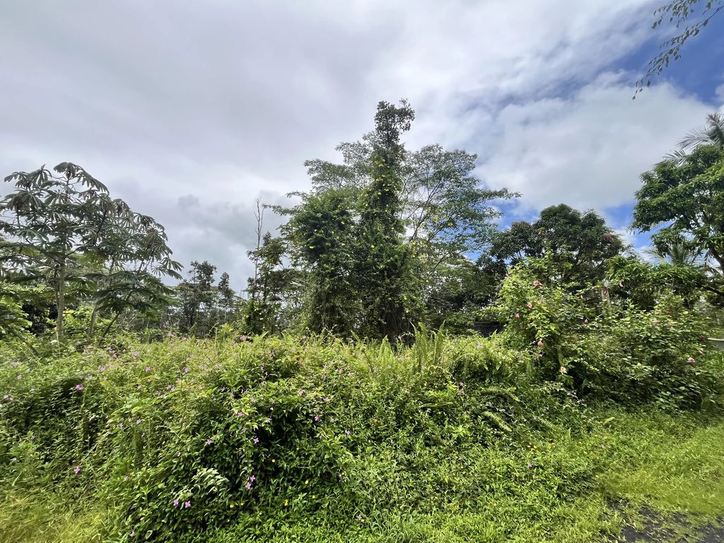 Lehua Rd, Pahoa