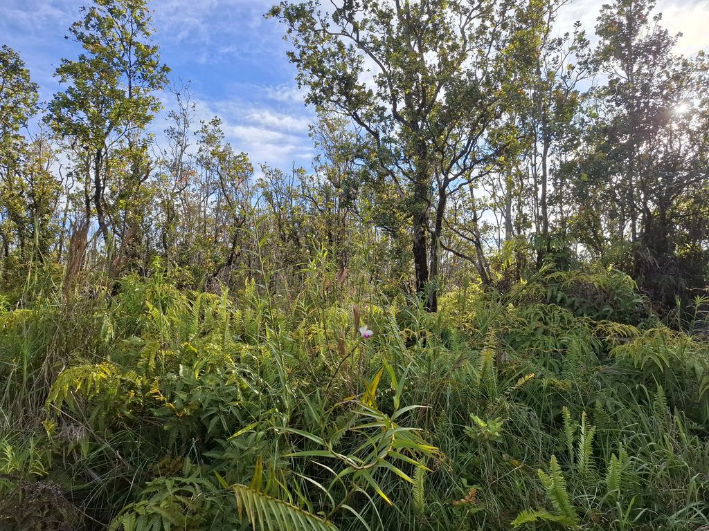 Noe Kuahiwi Rd, Volcano