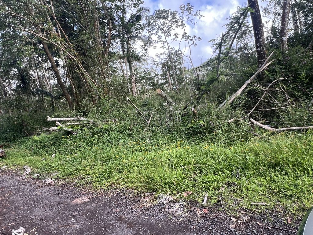Molokai Rd, Pahoa
