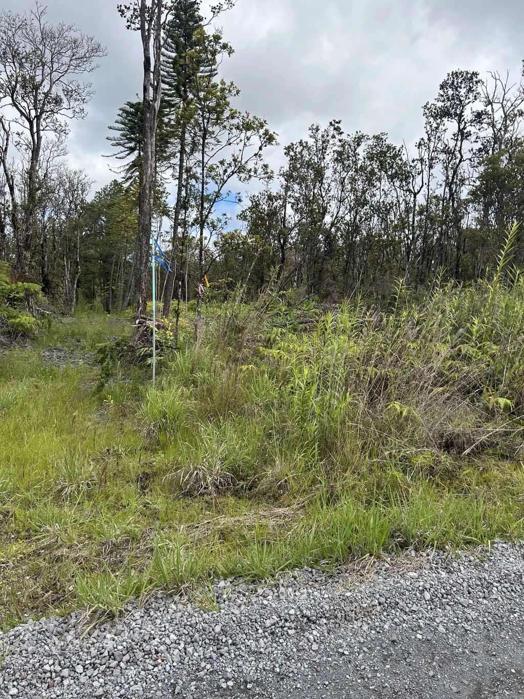 Noe Kuahiwi Rd, Volcano