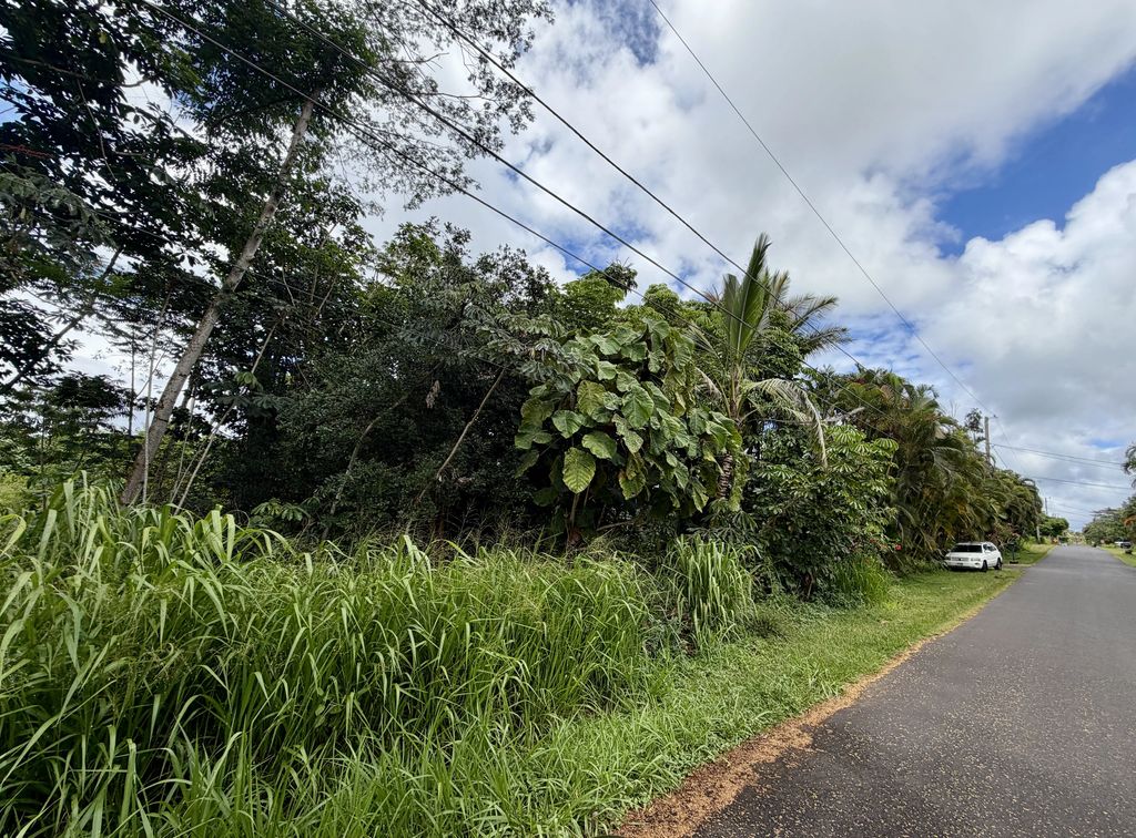 Lalakea St, Pahoa