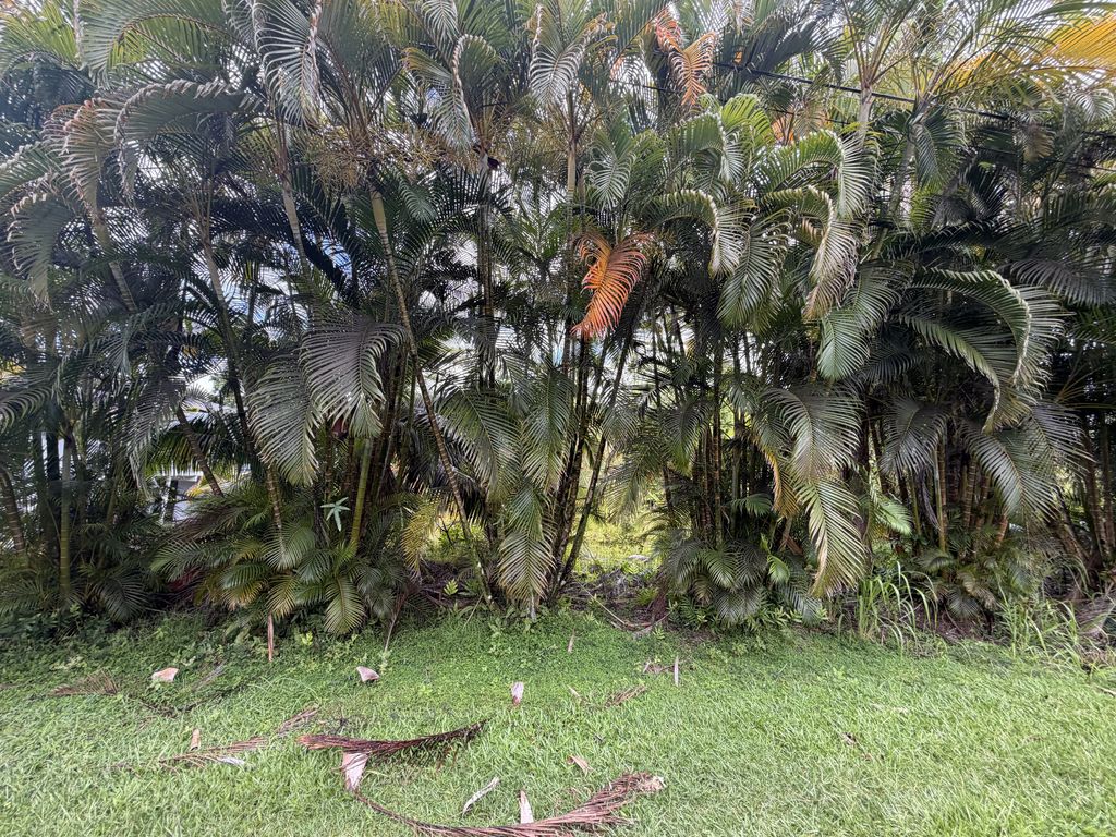 Lalakea St, Pahoa