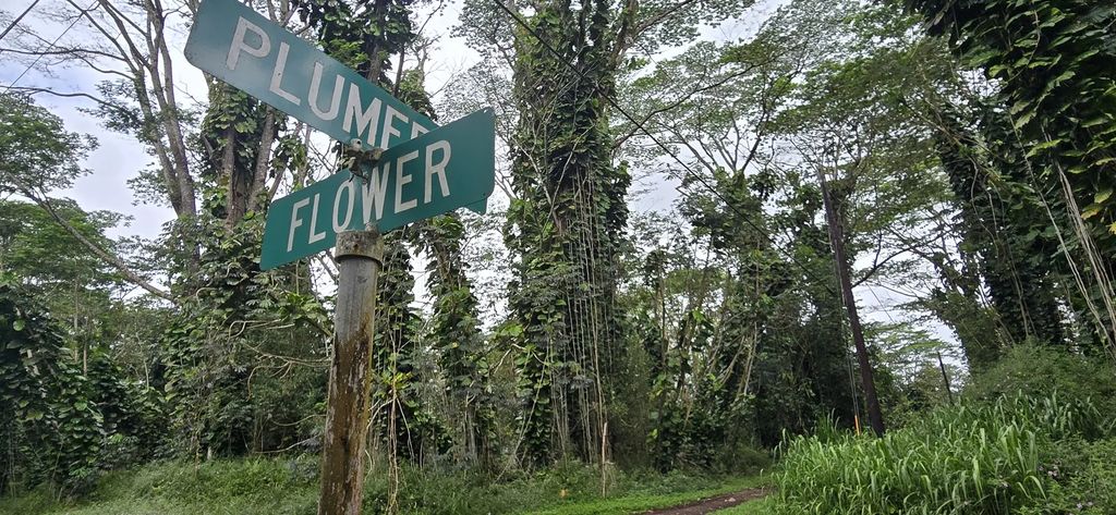 Plumeria Rd Lots 107 & 108, Pahoa