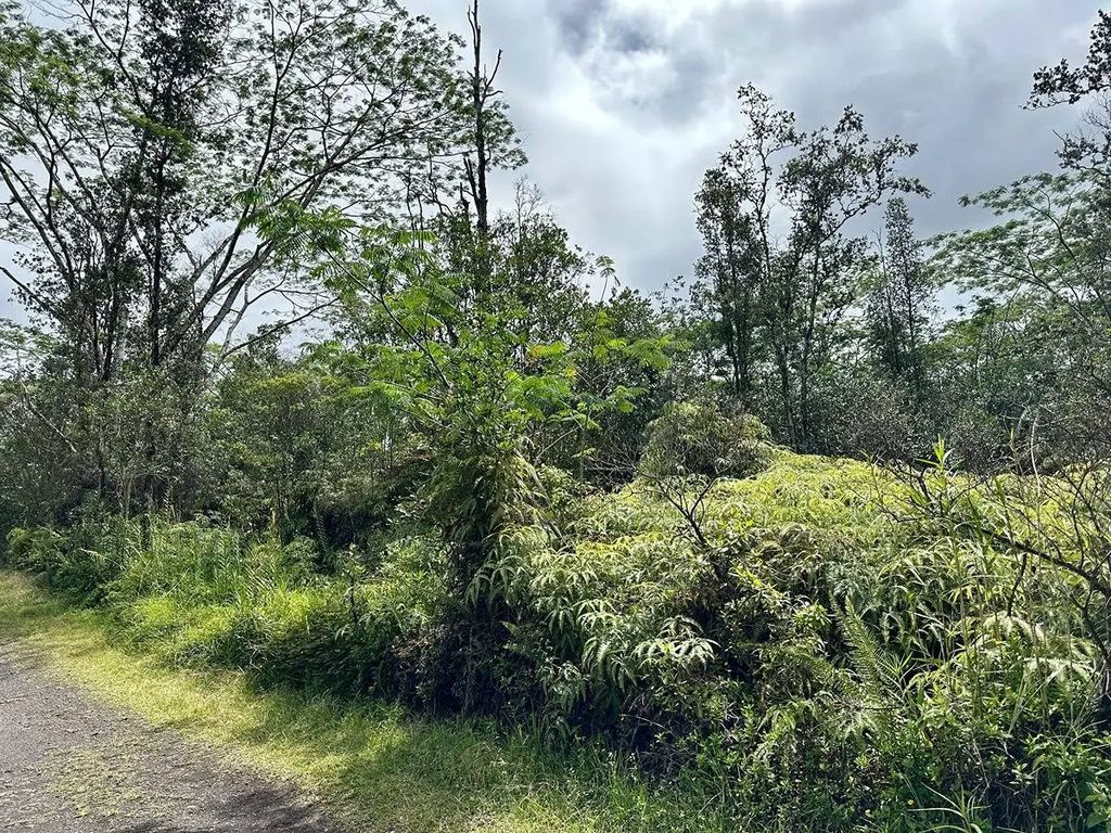 16-2185 Road 4 (io Kea), Mountain View