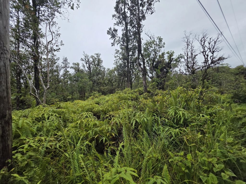 Hopue Rd, Mountain View