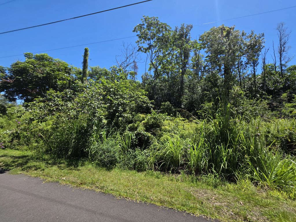 Kumu St, Pahoa