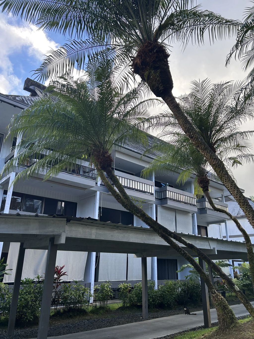 400 Hualani St 5242, Hilo