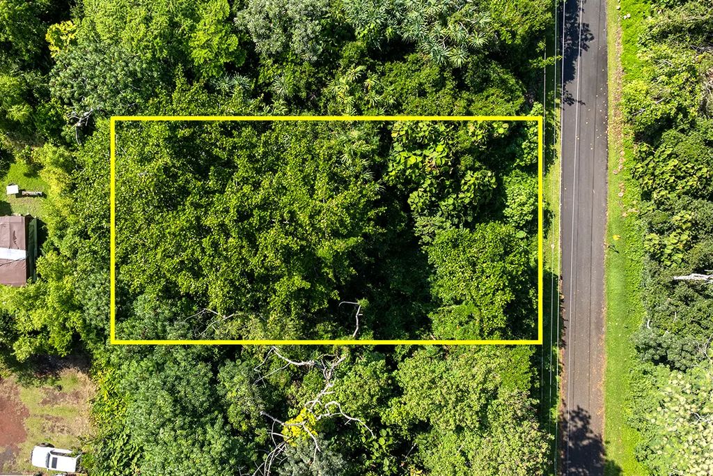 Opakapaka St, Pahoa