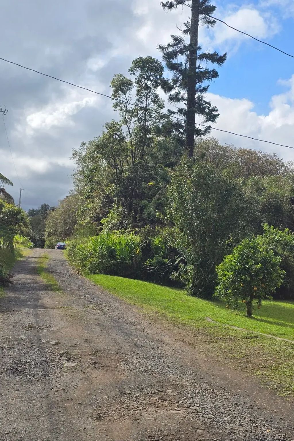 Kanahele Pl, Mountain View