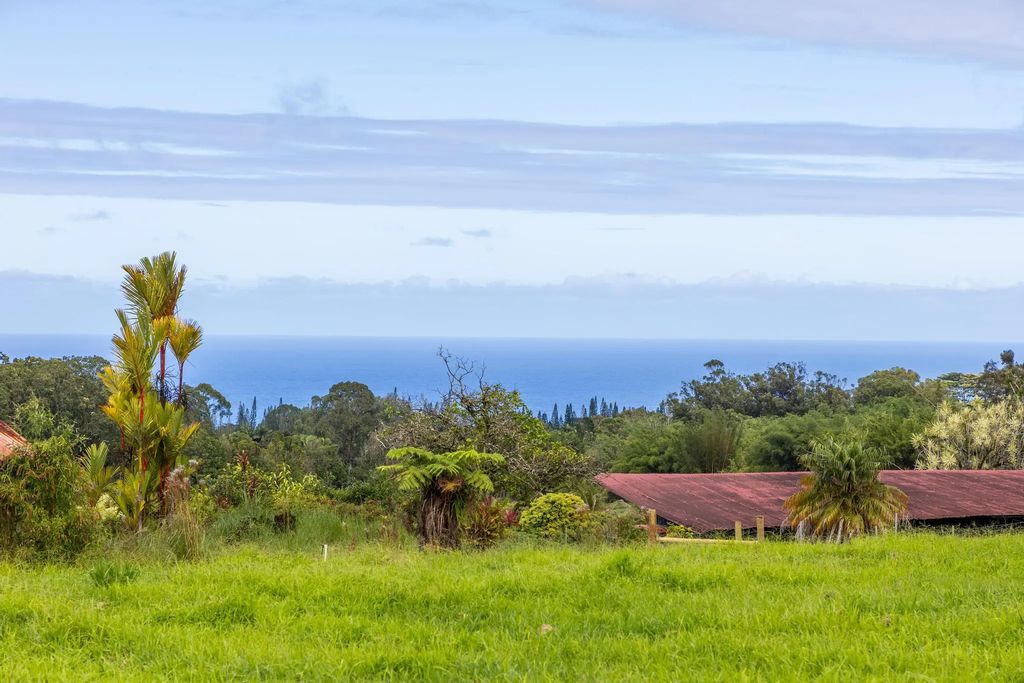 29-627-a Chin Chuck Rd, Hakalau
