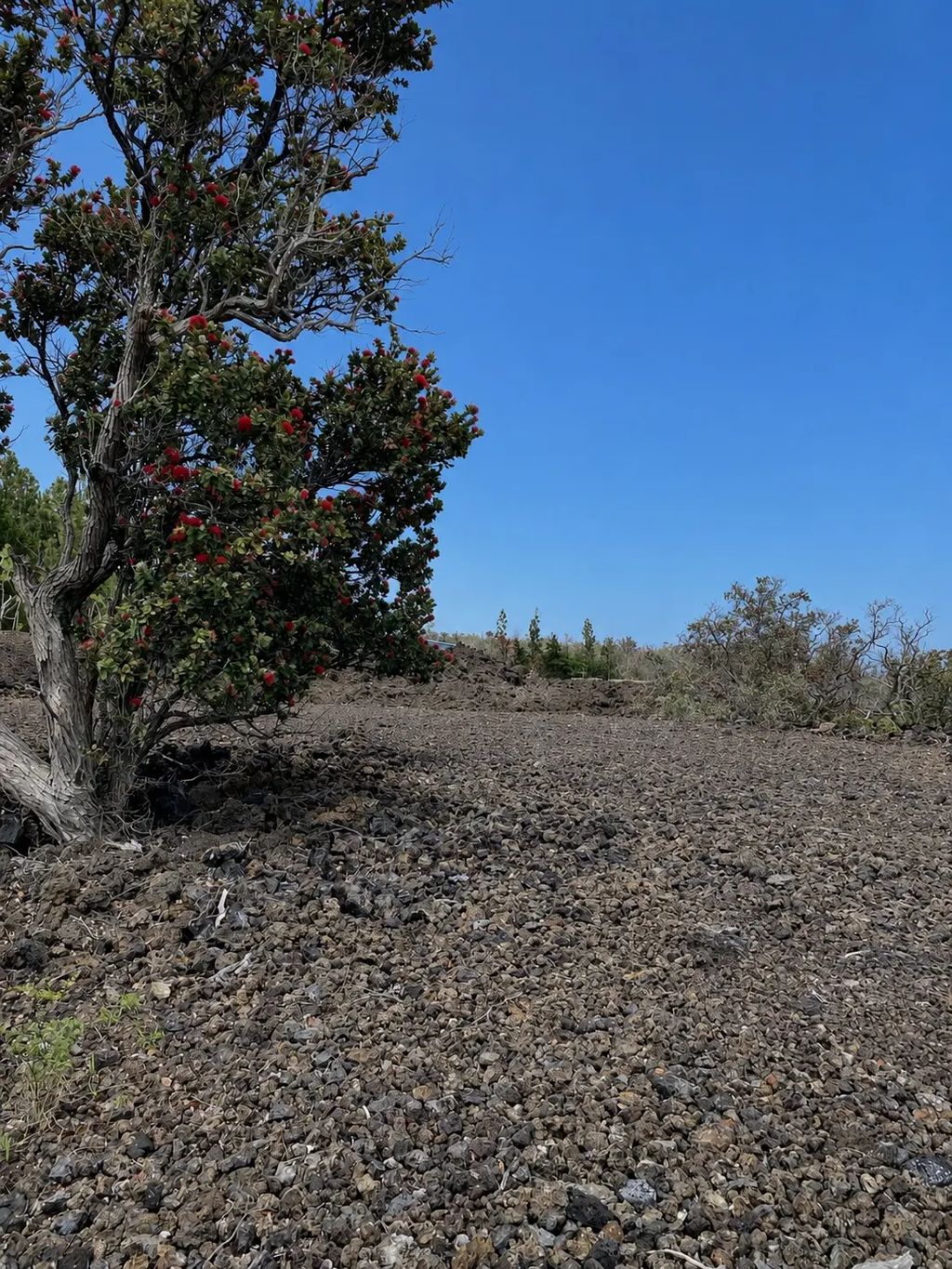 Tiki Ln, Ocean View