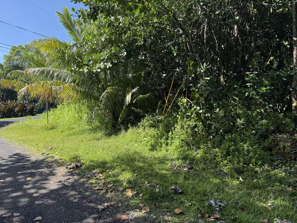 15-1144 Amau Rd, Keaau