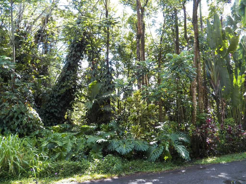 25th Ave, Keaau