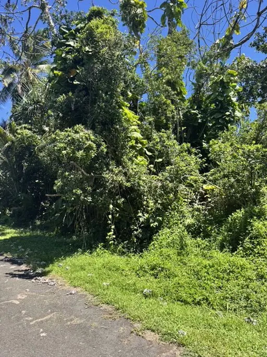 Opelu St, Pahoa