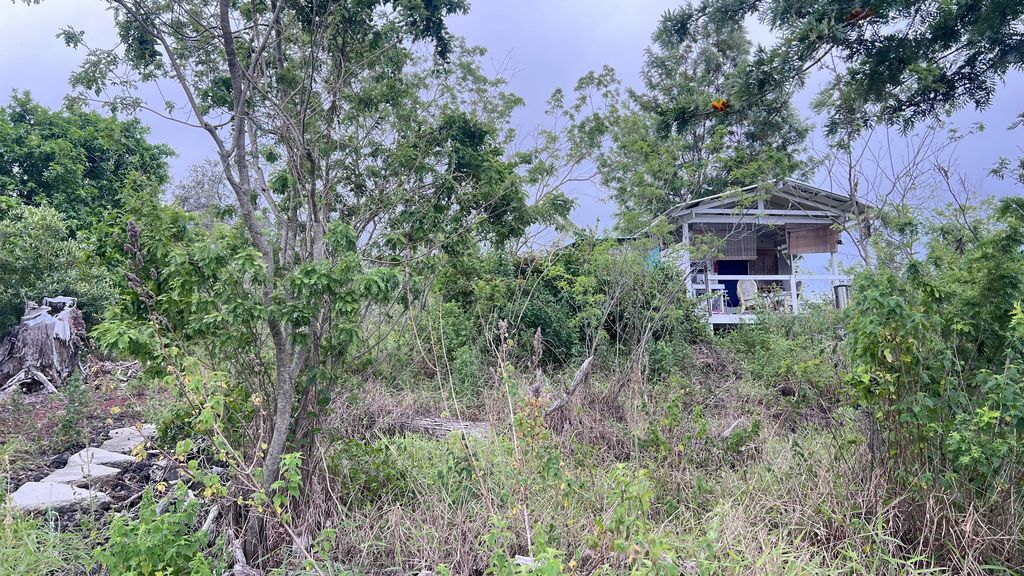92-1731 Princess Kaiulani Blvd, Ocean View
